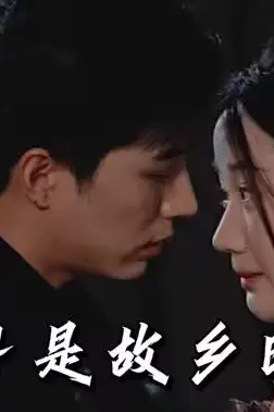 《月是故乡明》封面