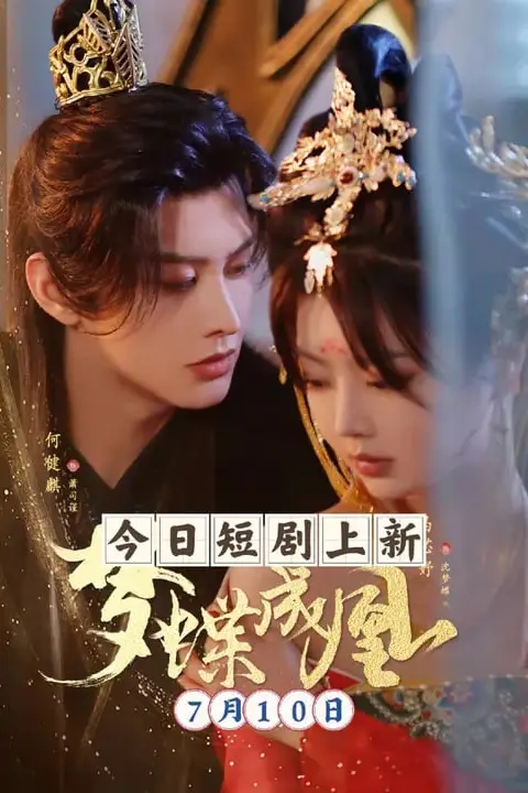 《梦蝶成凰》封面