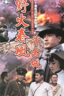 《野火春风斗古城》封面