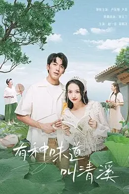 《有种味道叫清溪》封面