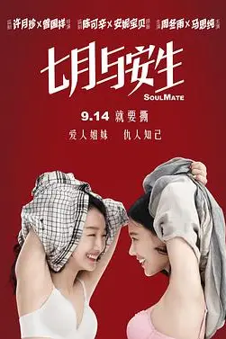 《七月与安生》封面