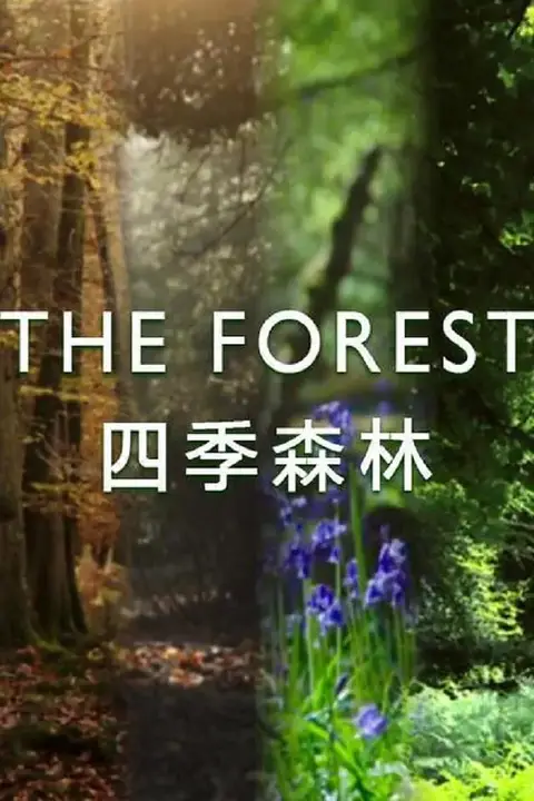 《四季森林 第一季》封面