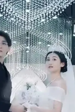 《消失的前妻》封面