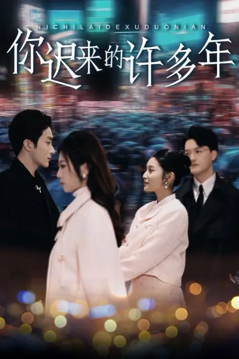 《你迟来的许多年》封面