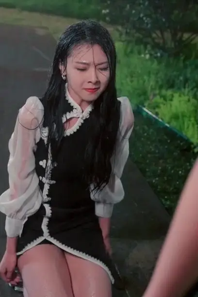 《陆总的复仇小甜妻》封面