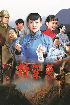 《野茱萸》封面