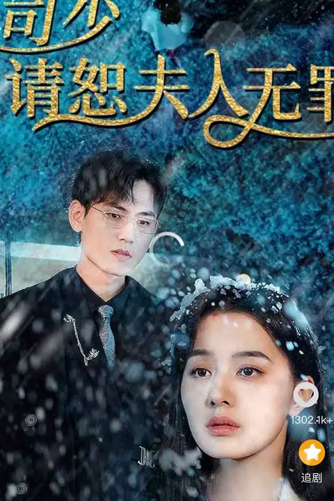 《司少请恕夫人无罪》封面