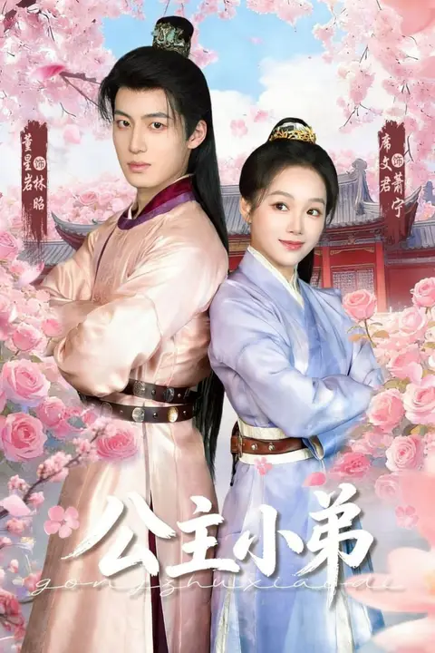 《公主小弟》封面