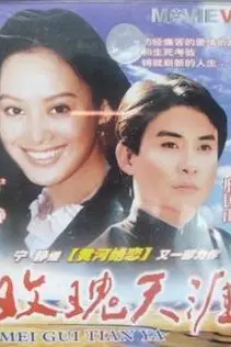 《玫瑰天涯》封面