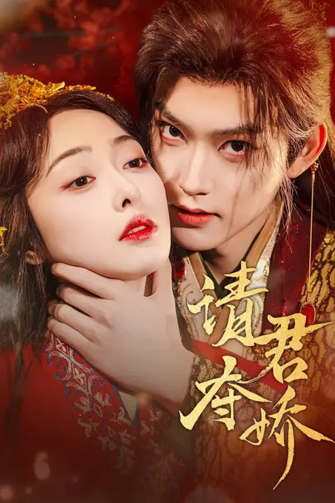 《请君夺娇》封面