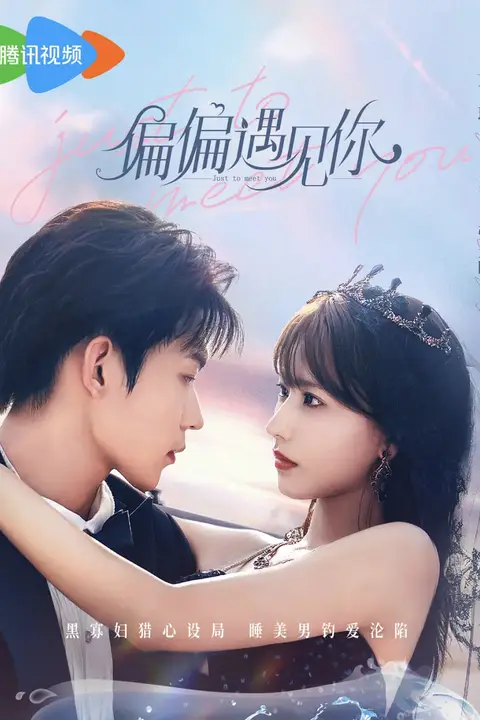 《偏偏遇见你》封面