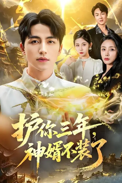 《护你三年,神婿不装了》封面