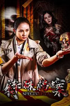 《特殊档案》封面