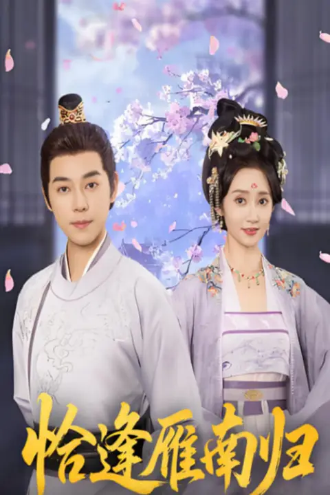 《恰逢雁南归》封面