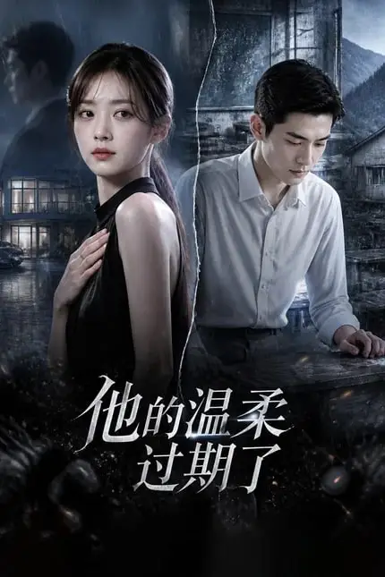 《他的温柔过期了》封面