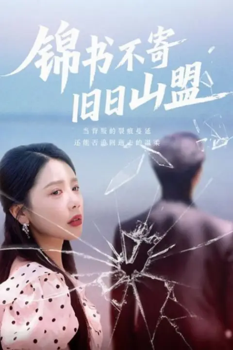 《锦书不寄旧日山盟》封面
