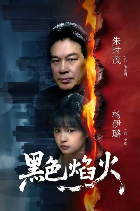 《黑色焰火》封面