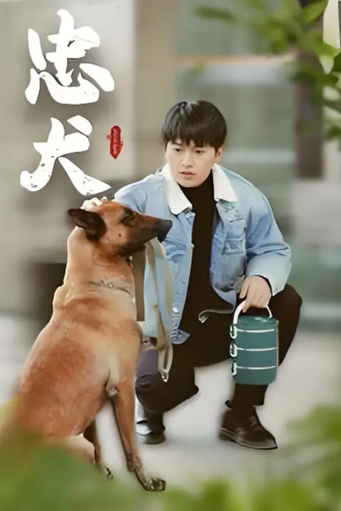 《忠犬》封面