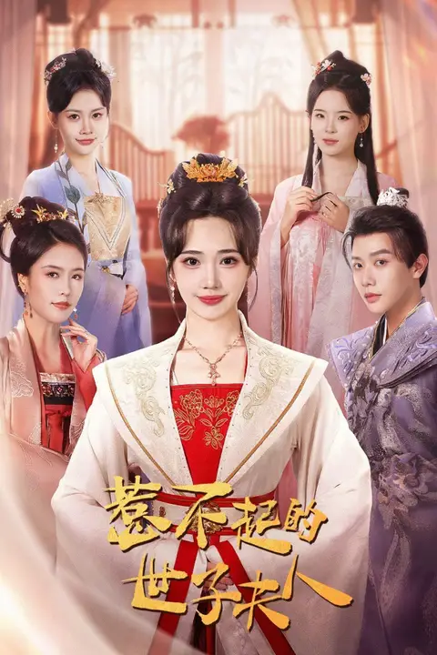 《惹不起的世子夫人》封面