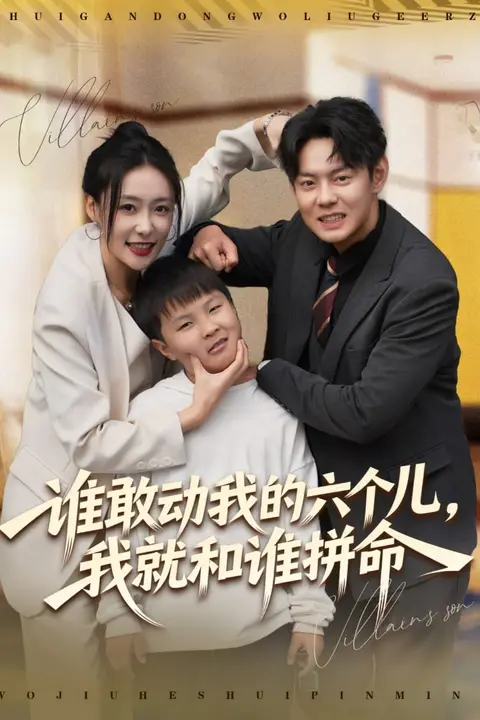 《谁敢动我的六个儿,我就和谁拼命》封面