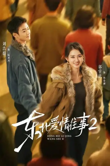 《东北爱情往事 2》封面