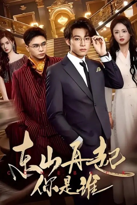 《东山再起你是谁》封面