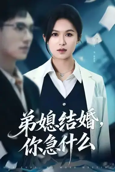 《弟媳结婚你急什么》封面