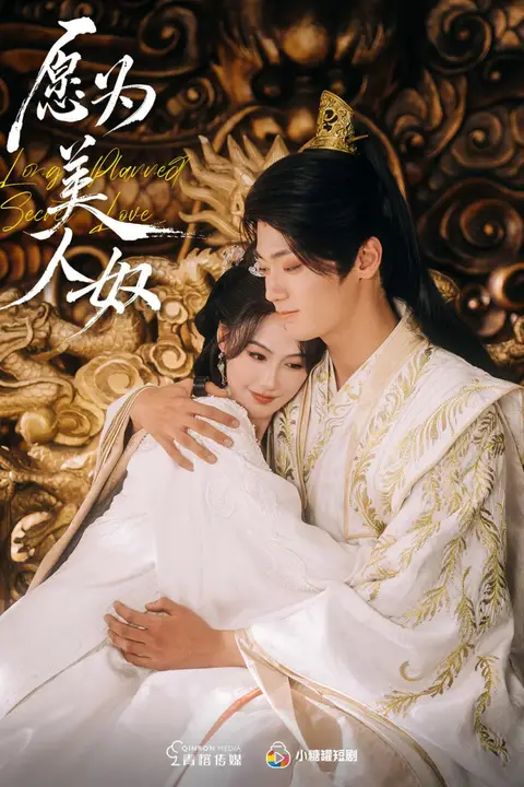 《愿为美人奴》封面