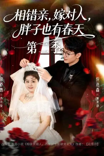 《相错亲，嫁对人，胖子也有春天第二季》封面