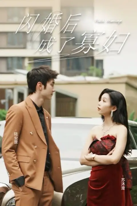 《闪婚后成了寡妇》封面