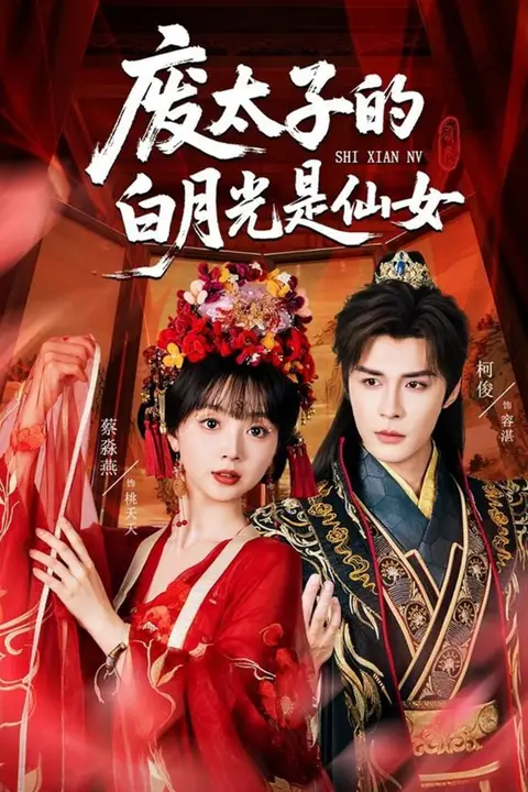 《废太子的白月光是仙女》封面