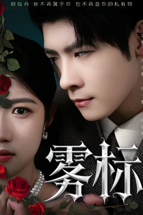《雾标》封面