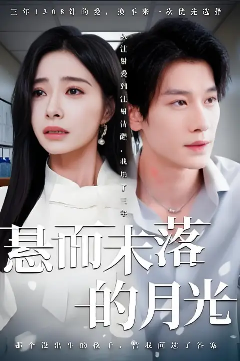 《悬而未落的月光》封面