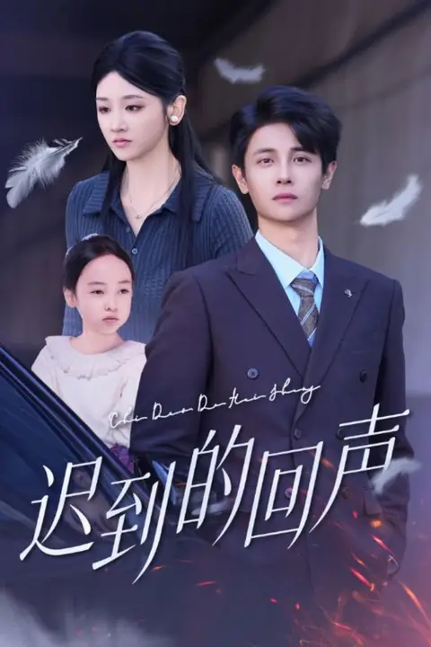 《迟到的回声》封面