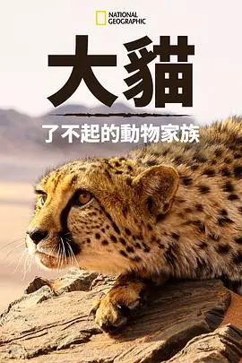 《猫科动物：奇妙的动物家族》封面