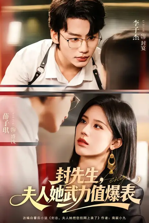 《封先生,夫人她武力值爆表》封面