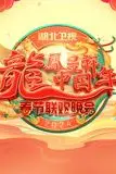《2024湖北春晚》封面