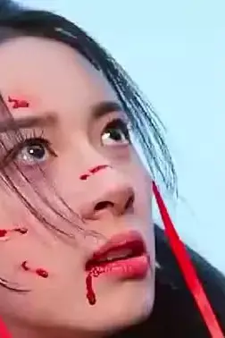 《女将军来打工》封面