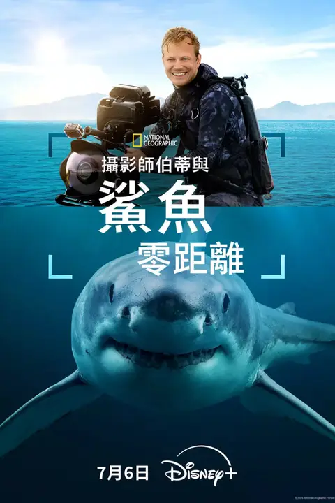 《摄影师贝尔蒂与鲨鱼零距离》封面