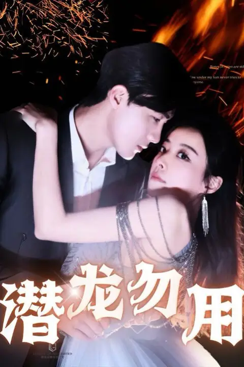 《潜龙勿用》封面