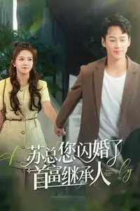 《苏总您闪婚了首富继承人》封面