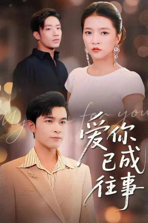 《爱你已成往事》封面