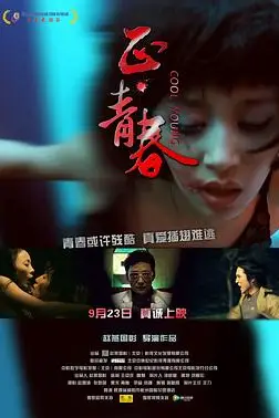 《正·青春2011》封面