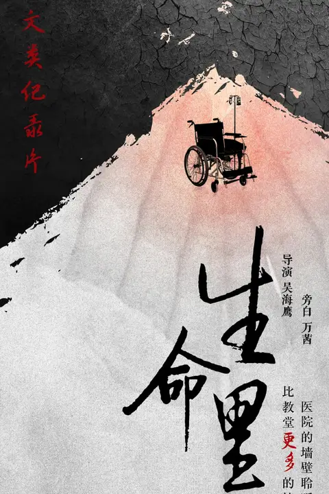 《生命里》封面