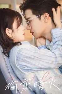 《偷恋暗火》封面