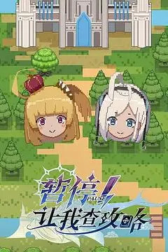 《暂停！让我查攻略》封面
