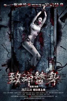 《致命替身》封面