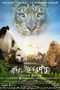 《我们诞生在中国》封面