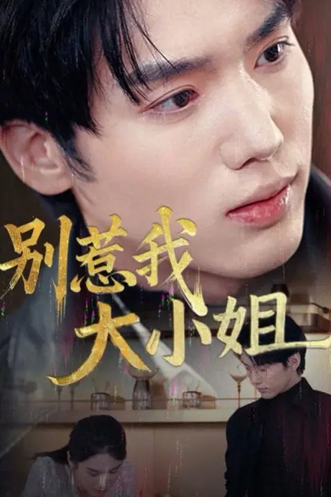 《别惹我大小姐》封面