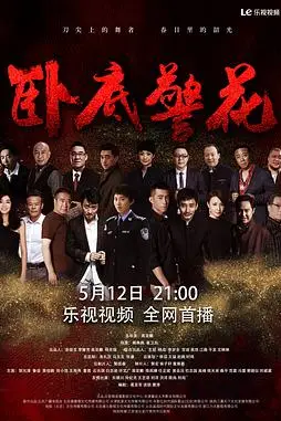 《卧底警花》封面